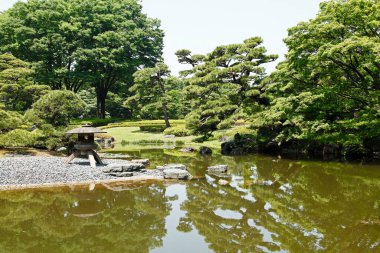 Yeşil bitki örtüsü ve sakin gölü olan güzel bir park. Japon bahçesi.        
