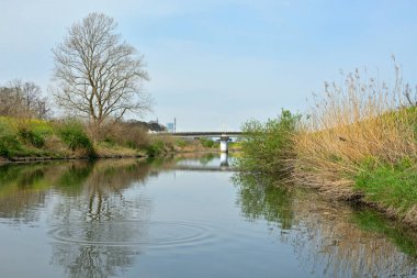 Kanaldan yeşil çimen ve mavi gökyüzü