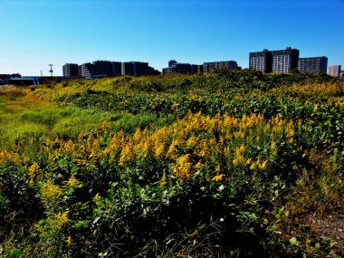 Arkasında binalar olan inşaat alanının görüntüsü 