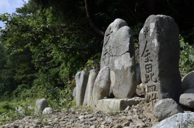 Ormandaki taşlar ve kayalar doğa arka planında