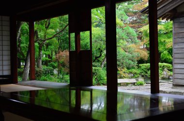 Ahşap pencere çerçevelerinden yemyeşil bahçenin görüntüsü