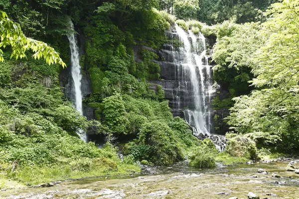 Japonya Şelale Ormanda Doğa Arka Planında — Stok fotoğraf