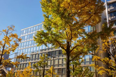 Sonbahar ağaçlarıyla Tokyo şehri manzarası