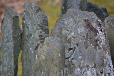 Yosunlu arazide birlikte duran yıpranmış taşlar.