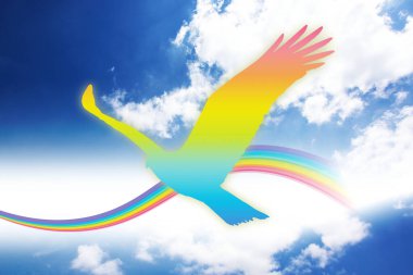 Gökyüzünde beyaz ve mavi gökkuşağı kuşu.