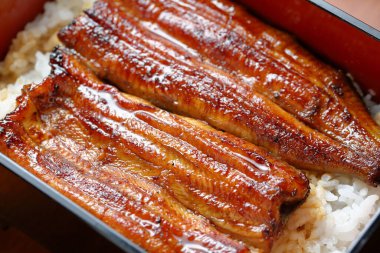 Japon mutfağı. Yılan balıklı pilav.       