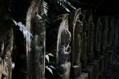 Uzun bir sıra eski, yosun kaplı taş heykeller karanlık, yapraklı bir alanda duruyor..