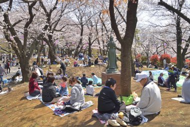 Japon parkında kiraz ağaçlarının tadını çıkaran kalabalık. 