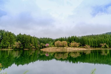 Doğanın arka planında göllü güzel bir manzara.