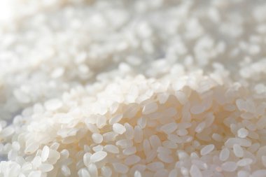 pirinç arka kapatmak