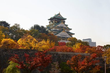 Sonbahar ağaçlarıyla Tokyo şehri manzarası