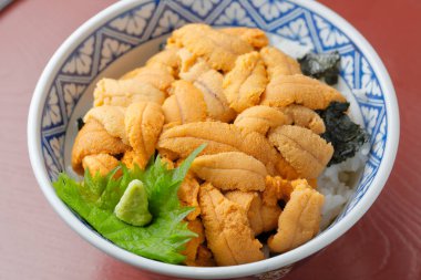 Japon lezzetli deniz kestanesi kasesi