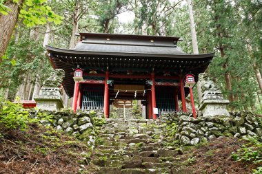 Japon tapınağı manzarası.