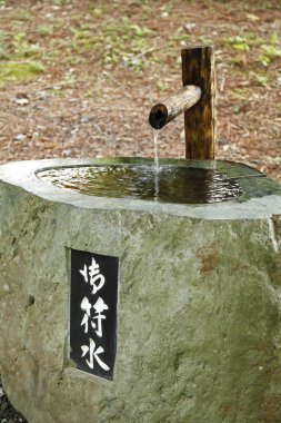 Parktaki eski bambu çeşmesi