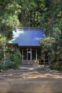 Ormandaki güzel Japon tapınağı, Budizm konsepti.