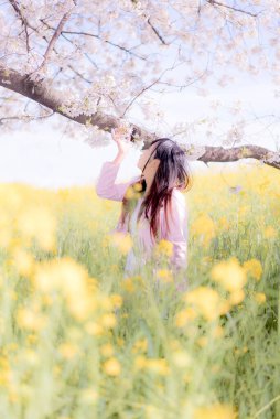 Parkta kiraz çiçekleri olan güzel Asyalı kadın.