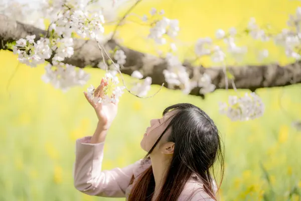 beautiful asian woman with cherry blossoms in park