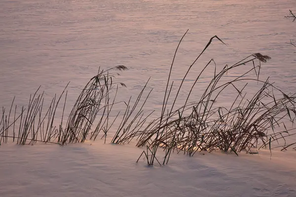 Puesta Sol Invierno Nieve — Foto de Stock