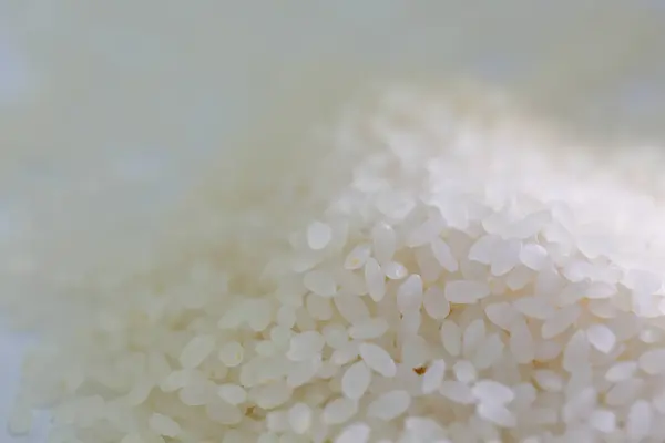 Bliska Widok Ryżu Jako Ryżu Tylnej Części Białego Koloru Rozmytym — Zdjęcie stockowe