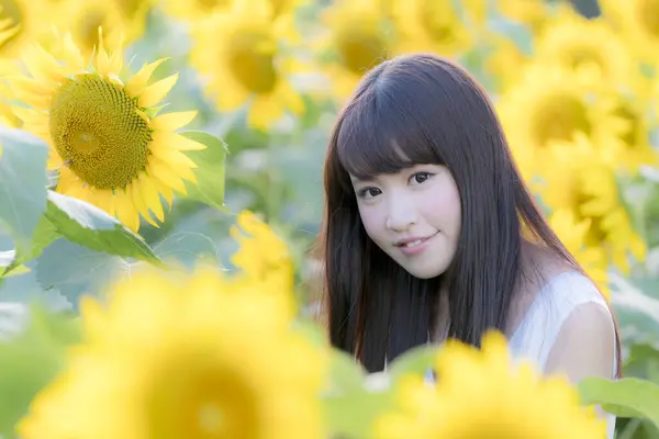 Beautiful Young Woman Field Sunflowers Stock Image