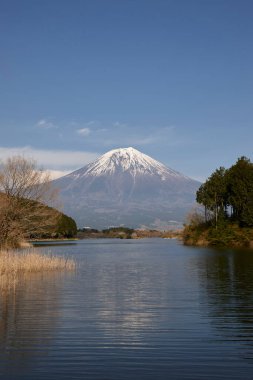 Mt. Fuji ve Kawaguchiko Gölü Japonya.