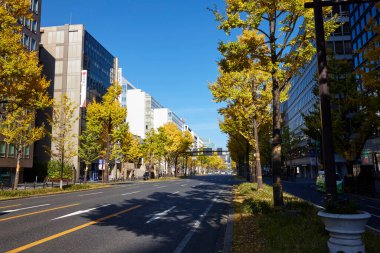 Sonbahar ağaçlarıyla Tokyo şehri manzarası