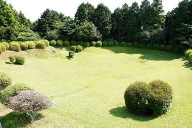 Güzel yeşil çimlerin manzarası yemyeşil bitki örtüsüyle çevrili, güzel yeşil manzara