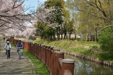 Minuma pirinç tarlaları, Minumadai sulama kanalının doğu ucu.