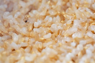 Pişmiş pirinç tanelerinin yakın plan fotoğrafı.