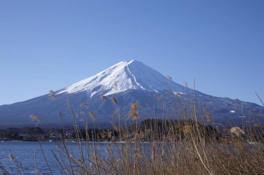 Mt. Fuji ve Kawaguchiko Gölü Japonya.