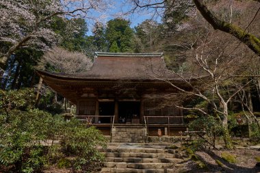 Güzel Japon tapınağı, Budizm ve din kavramı
