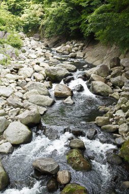 Dağlarda bir sürü taş olan parlak bir nehir.