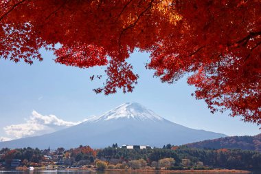 Fuji Dağı 'nın karlı zirvesi bir gölün üzerindeki kırmızı sonbahar yapraklarıyla süslenir..