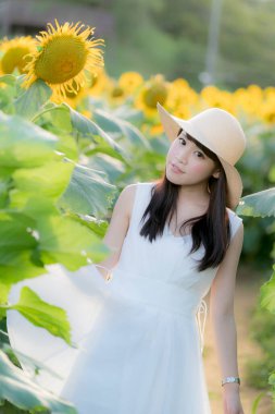 Ayçiçeği tarlasında beyaz elbise ve hasır şapka giyen güzel Asyalı kadın. 