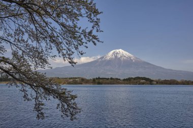 Mt. Fuji ve Kawaguchiko Gölü Japonya.