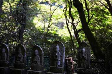 Parktaki eski taş mezarlığın manzarası
