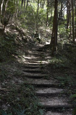 Merdivenler huzurlu yeşil park ortamını gösteriyor.