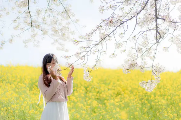 beautiful asian woman with cherry blossoms in park