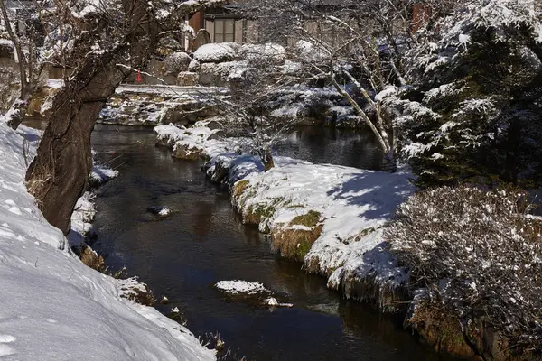 冬の川と自然の景色の美しい景色 — ストック写真