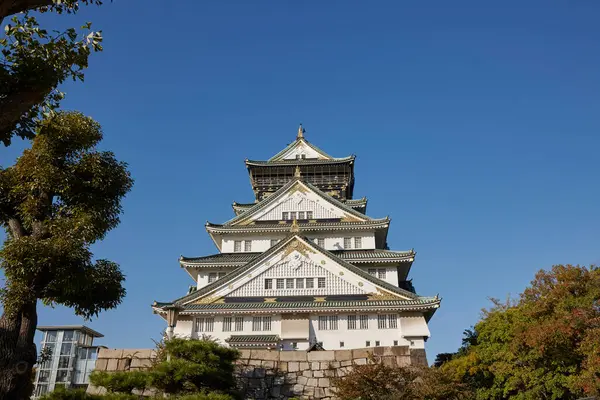 Schöne Architektur Des Osaka Castle Main Tower Osaka Castle Museum — Stockfoto