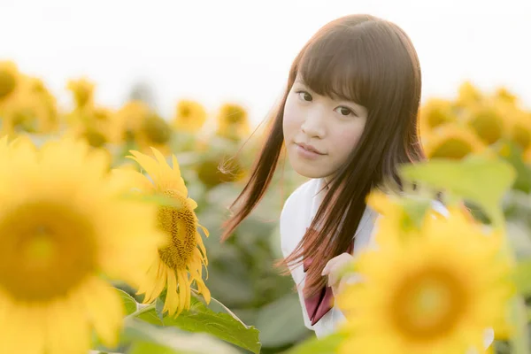 Beautiful Young Girl Field Sunflowers Stock Image