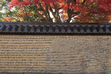 Canlı kırmızı sonbahar dallarının altındaki eski tuğla duvar.