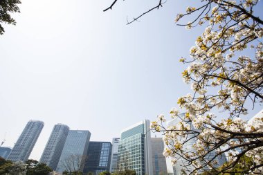 Modern şehir manzarası arka plan görüntüsü, şehir konsepti 