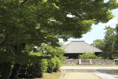 Antik tapınak binası, Asya mimarisi