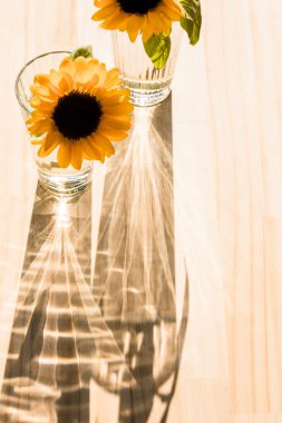 Tahta arka planda iki ayçiçeği çiçeği..