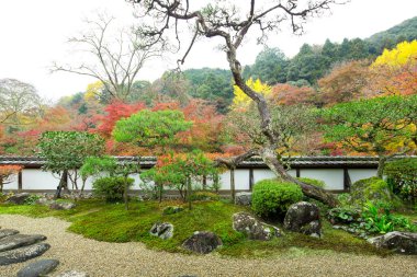 Japon bahçesinde renkli bitkiler ve ağaçlar 
