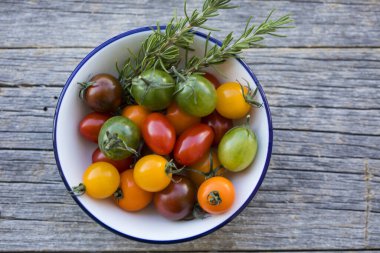 Parlak kiraz domatesleri ve biberiye kasede, üst manzara 