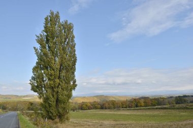Sonbaharda yol, güzel dijital fotoğraf