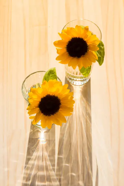 Dvě Slunečnice Květiny Brýlích Dřevěném Pozadí — Stock fotografie