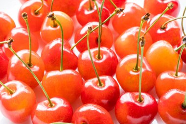 beyaz zemin üzerine kırmızı taze kiraz 